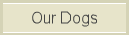 Our Dogs